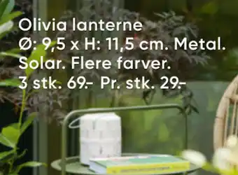 Bilka Olivia lanterne tilbud