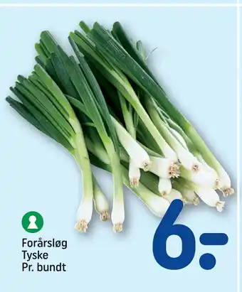 REMA 1000 Forårsløg Tyske Pr. bundt tilbud