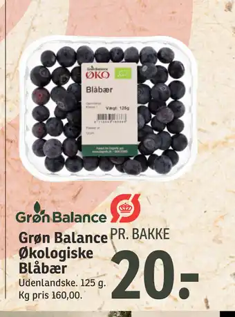 SPAR Grøn Balance Økologiske Blåbær tilbud
