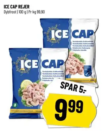 Løvbjerg ICE CAP REJER tilbud