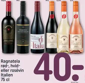 REMA 1000 Ragnatela rød-, hvid- eller rosévin Italien tilbud