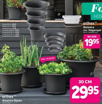 Din Isenkræmmer Botanica Skjuler tilbud