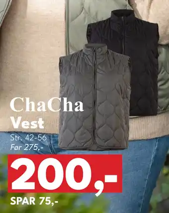 Vest