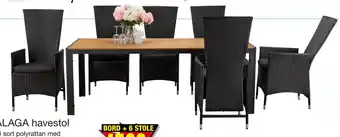 Harald Nyborg MALAGA havestol tilbud