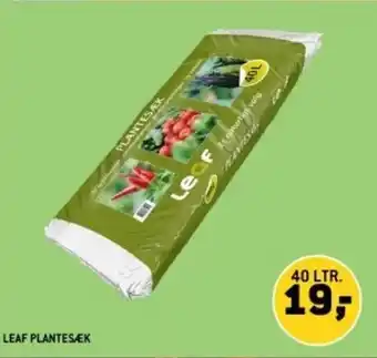 XL-BYG LEAF PLANTESÆK tilbud