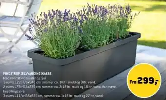 PINDSTRUP SELVVANDINGSKASSE