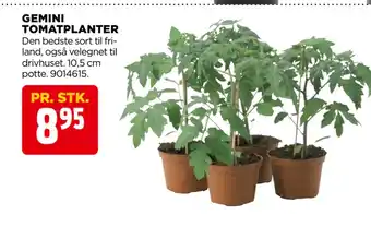 jem & fix GEMINI TOMATPLANTER tilbud
