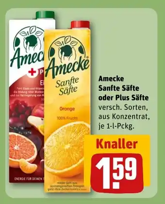 Amecke Sanfte Säfte oder Plus Säfte