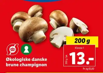 Økologiske danske brune champignon