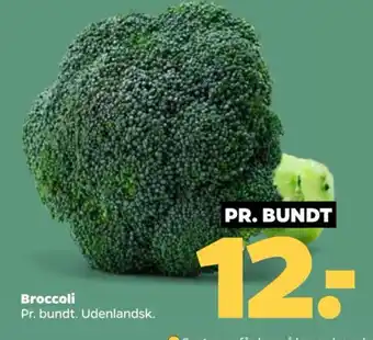 Netto Broccoli tilbud