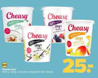 Netto Cheasy skyr tilbud