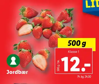 Lidl Jordbær tilbud