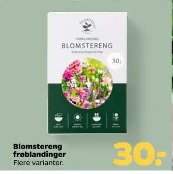 Netto Blomstereng frøblandinger tilbud