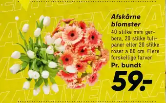 Bilka Afskårne blomster tilbud