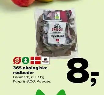 365 økologiske rødbeder