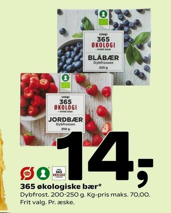Coop 365 365 økologiske bær tilbud