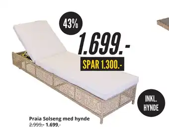 Praia Solseng med hynde