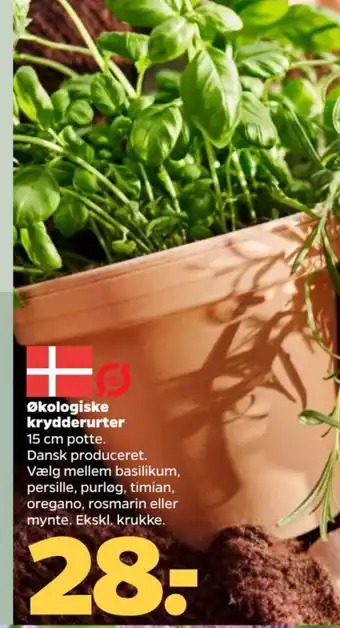 Netto Økologiske krydderurter tilbud