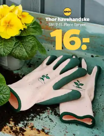 Netto Thor havehandske tilbud