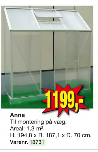 Anna