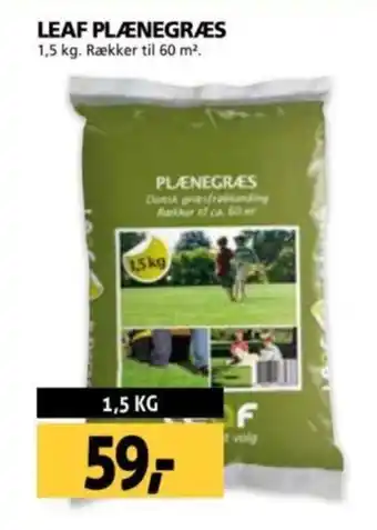 XL-BYG LEAF PLÆNEGRÆS tilbud