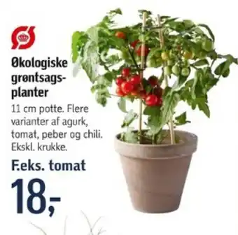 Føtex Økologiske grøntsags- planter tilbud