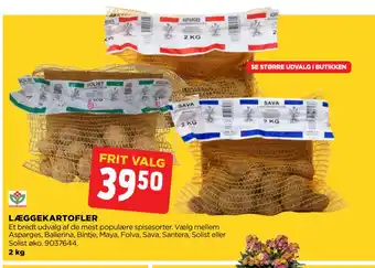 LÆGGEKARTOFLER