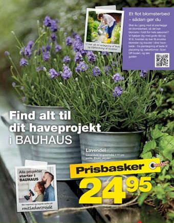 Bauhaus Lavendel tilbud