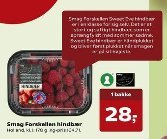 Smag Forskellen hindbær