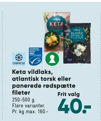 Keta vildlaks, atlantisk torsk eller panerede rødspætte fileter