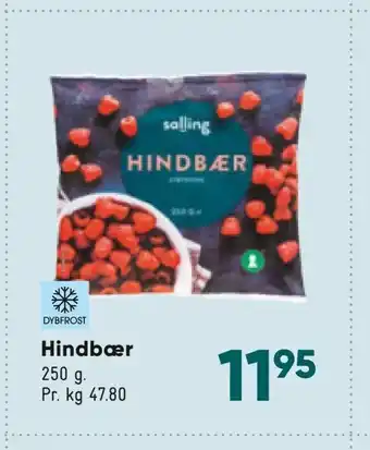 Hindbær
