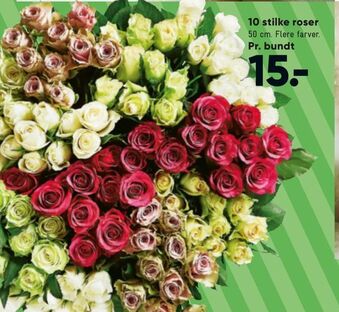 Bilka 10 stilke roser tilbud