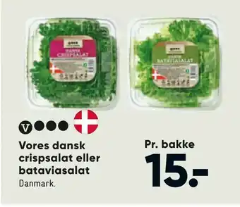 Bilka Vores dansk crispsalat eller bataviasalat tilbud