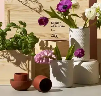Bilka Skjuler eller vase tilbud
