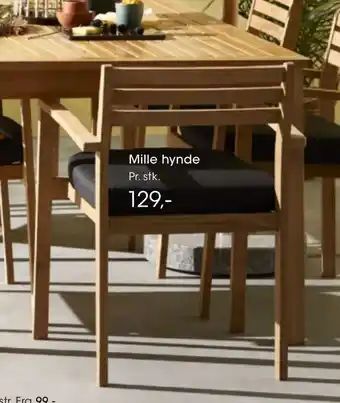 Bilka Mille hynde tilbud