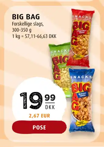 Scandinavian Park BIG BAG tilbud