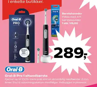 Børstehoveder