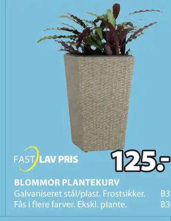 JYSK BLOMMOR PLANTEKURV tilbud