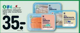 REMA 1000 Laksefileter, rødspætte fileter eller torske fileter tilbud