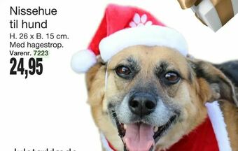 Harald Nyborg Nissehue til hund tilbud
