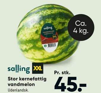 Bilka Stor kernefattig vandmelon tilbud