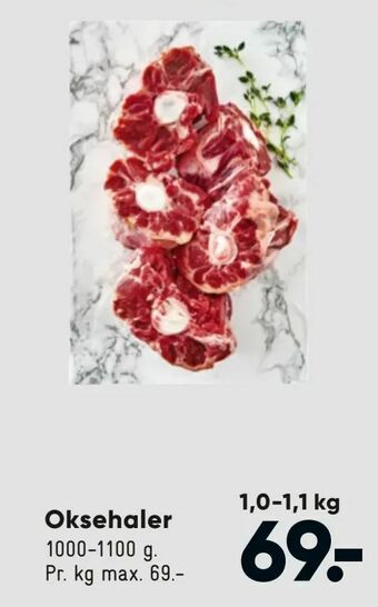 Bilka Oksehaler tilbud