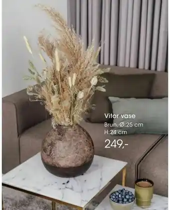 Bilka Vitor vase tilbud