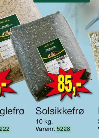 Harald Nyborg Solsikkefrø tilbud