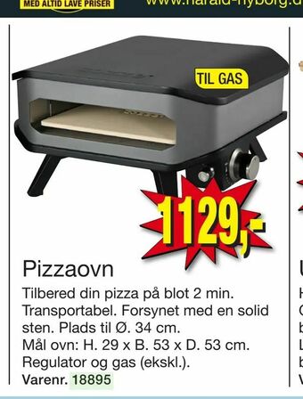 Harald Nyborg Pizzaovn tilbud