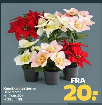 Netto Kunstig julestjerne tilbud