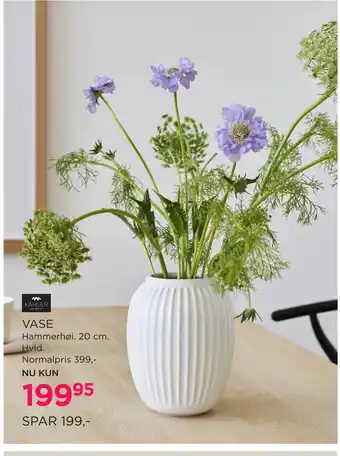 Salling VASE tilbud