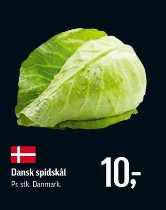 Føtex Dansk spidskål tilbud