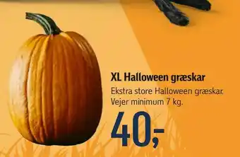 Føtex XL Halloween græskar tilbud