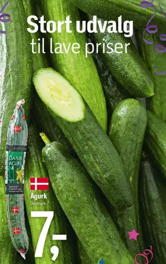 Føtex Agurk Danmark. tilbud